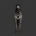 Realistic Black And White Striped Zebra Standing With Brown Saddle On Gray Background