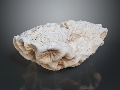 Detailed Human Organ Structure With Soft Hair Like Fibers And Textured Surface 3d model
