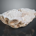 Detailed Human Organ Structure With Soft Hair Like Fibers And Textured Surface