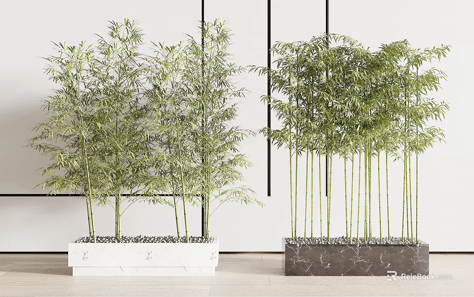 Bamboo Bonsai Potted Plants with Marble Base in Modern Interior Setting 3d model