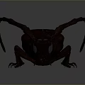 Brown Longhorn Beetle With Extended Antennae And Detailed Exoskeleton On Gray Background