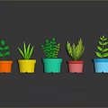 Colorful Potted Plants with Different Leaf Types in Bright Colored Pots on Dark Surface