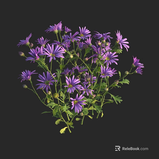 Vibrant Purple Daisies With Green Leaves In Natural Bloom Arrangement 3d model 