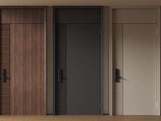 Modern Minimalist Entry Door Anti-theft Door Top Single Door Sub-mother Door Password Door 3d model