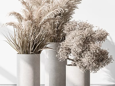 Three White Vases With Dried Pampas Grass And Light Colored Flowers On White Background 3d model