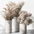 Three White Vases With Dried Pampas Grass And Light Colored Flowers On White Background
