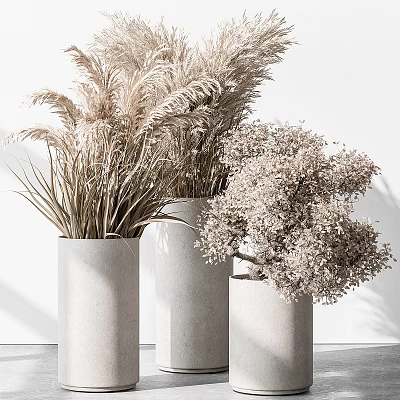 Three White Vases With Dried Pampas Grass And Light Colored Flowers On White Background 3d model