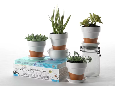 Succulent Bonsai Potted Plants in Decorative Stacked White Brown Pots on Books 3d model