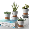 Succulent Bonsai Potted Plants in Decorative Stacked White Brown Pots on Books