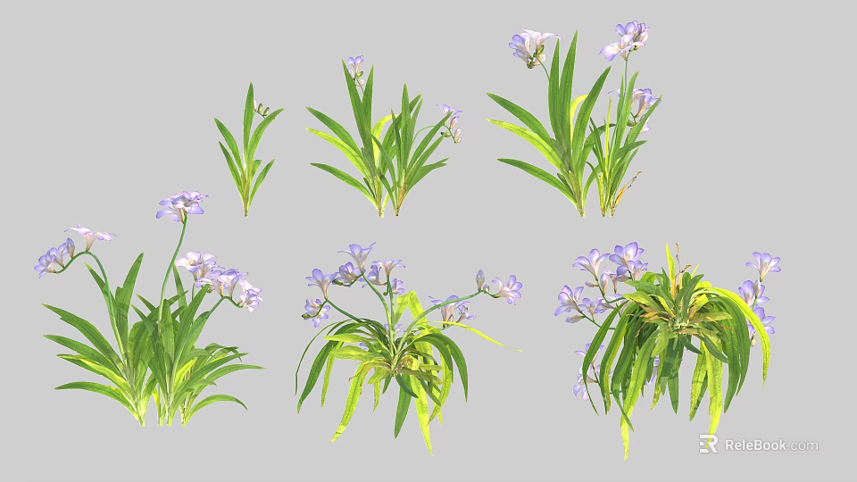 Vibrant Purple Flowers with Green Leaves in Different Natural Plant Arrangements 3d model 