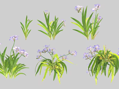 Vibrant Purple Flowers with Green Leaves in Different Natural Plant Arrangements 3d model