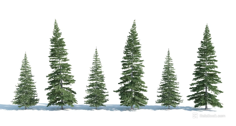 Various Height Pine Trees Arranged on Snowy Ground with Green Foliage 3d model 