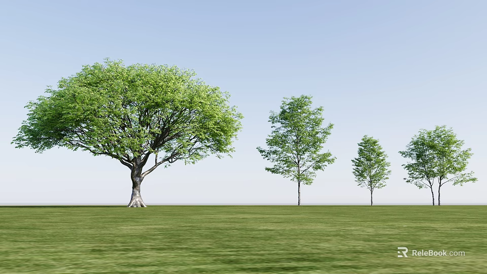Arbor Trees Of Different Sizes Standing On Green Grassland Under Clear Blue Sky 3d model 