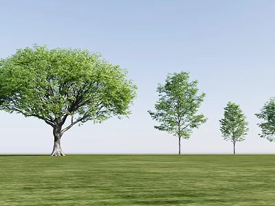 Arbor Trees Of Different Sizes Standing On Green Grassland Under Clear Blue Sky 3d model