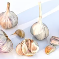 Fresh Garlic Bulbs With Peeled Cloves Split Pieces And White Background