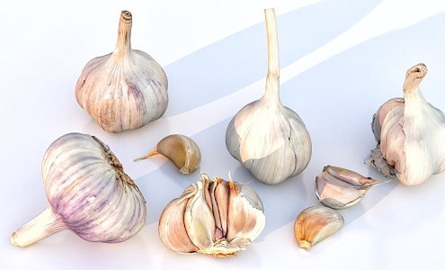 Garlic dish ingredients 3d model