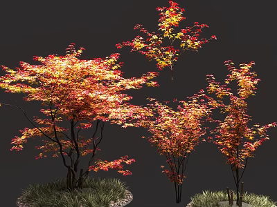 Trees With Red And Yellow Autumn Leaves Slender Trunks And Green Grass Base 3d model