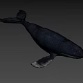 Realistic Black Whale Figurine With Sleek Glossy Surface Against Gray Background