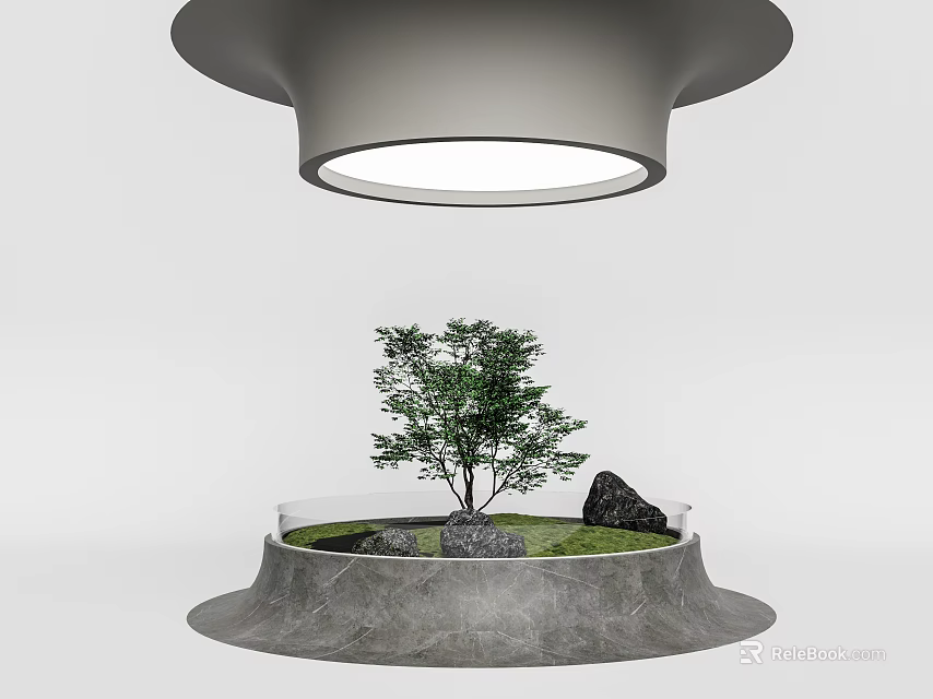 Modern Bonsai Plant With Rock Grass Circular Base And Overhead Light 3d model