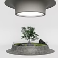 Modern Bonsai Plant With Rock Grass Circular Base And Overhead Light 3d model