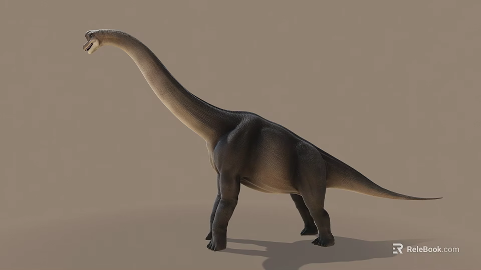 Giant Prehistoric Reptile With Long Neck Standing On Neutral Background 3d model 