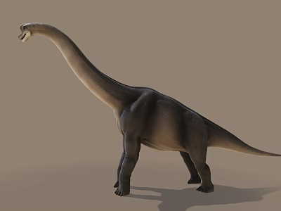 Giant Prehistoric Reptile With Long Neck Standing On Neutral Background 3d model