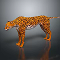 Realistic Cheetah With Yellow Black Spots Fur Standing On Dark Surface With Reflection