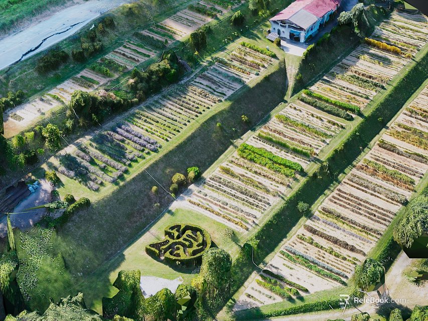 Aerial View of Neat Farmland Landscape with Geometric Rows and Surrounding Trees 3d model 
