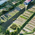 Aerial View of Neat Farmland Landscape with Geometric Rows and Surrounding Trees