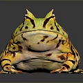 Frog Poison Frog Game Frog Reptile Cold Blooded Animal Reptile 3d model