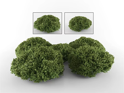 modern shrub green plant 3d model modern shrub green plant 3d model