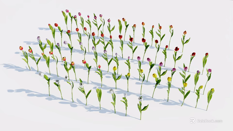 Various Colored Flowers With Green Stems And Leaves On White Background 3d model 