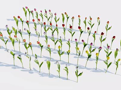 Various Colored Flowers With Green Stems And Leaves On White Background 3d model