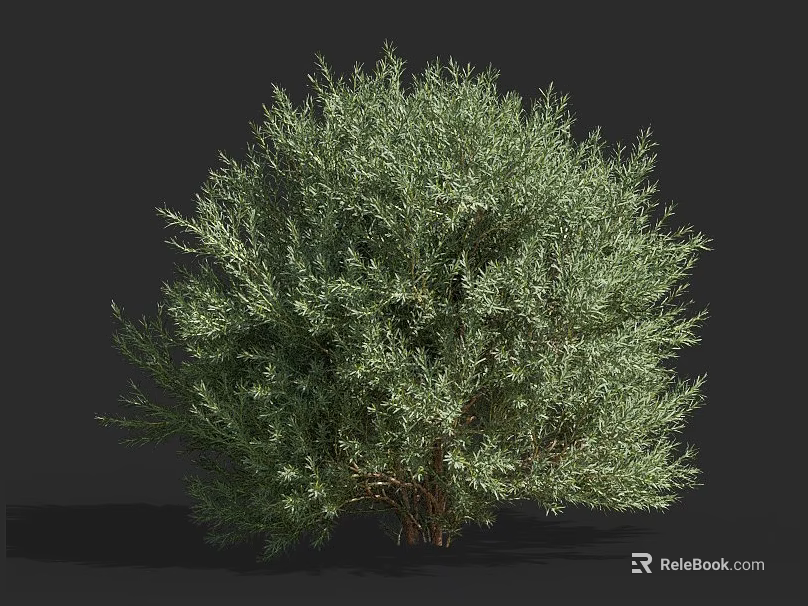 Lush Green Shrub with Dense Foliage and Natural Branch Structure 3d model 