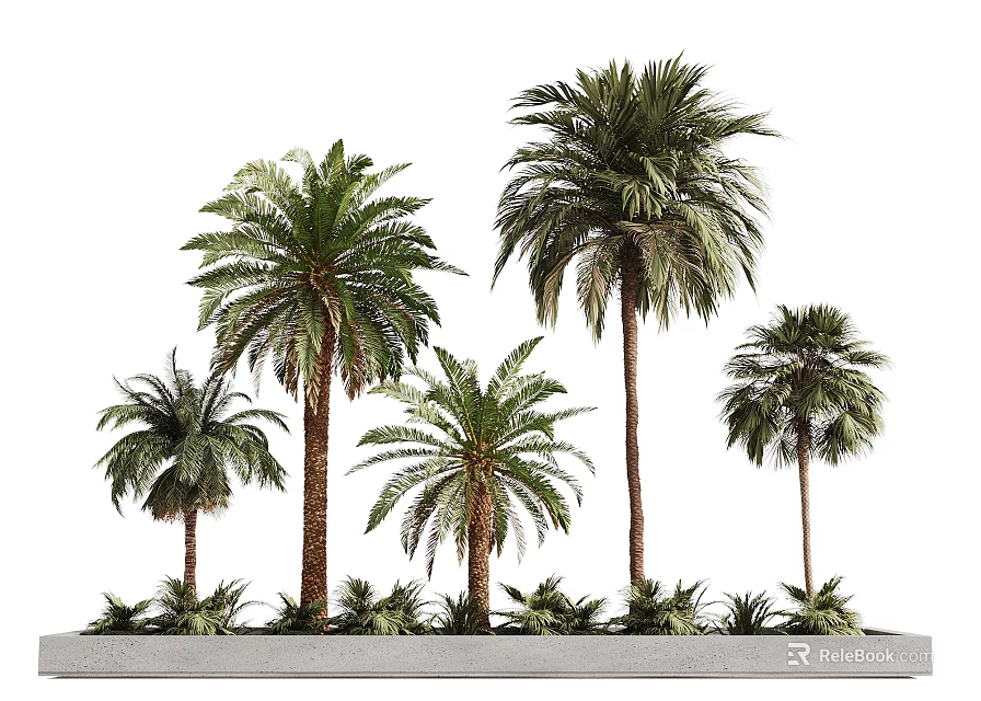 Tree Pit with Palm Trees Concrete Base and Surrounding Small Plants 3d model