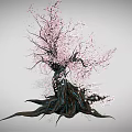 Ancient Tree With Thick Trunk And Twisted Roots Bearing Pink Flowers