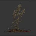 Three Bundles of Dried Plants with Leaves and Branches on White Background