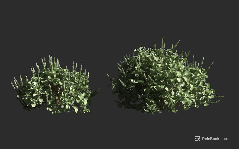Green Shrubs With Lush Foliage And Different Sizes In Natural Garden 3d model 