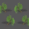 Four Natural Weeping Willow Trees With Green Drooping Branches And Brown Trunks