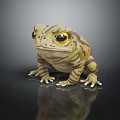 Green and Brown Spotted Frog with Yellow Eyes Sitting on Dark Surface with Reflection 3d model
