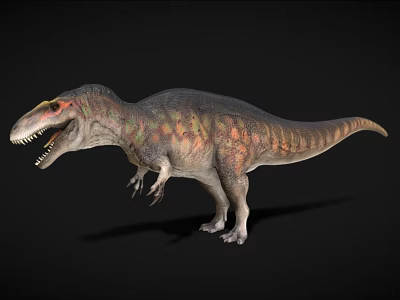 Realistic Dinosaur 3D Model With Colorful Skin And Sharp Teeth On Black Background 3d model