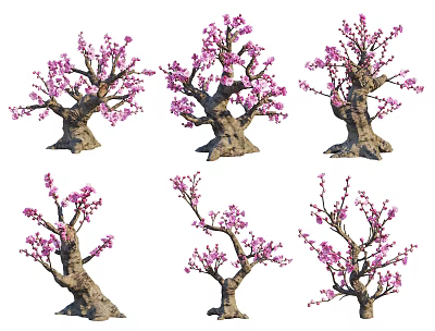 Beautiful Ornamental Trees With Pink Blossoms And Textured Trunks In Different Forms 3d model