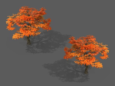 Two Autumn Trees with Vibrant Orange Red Leaves and Natural Shadows 3d model