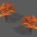 Two Autumn Trees with Vibrant Orange Red Leaves and Natural Shadows 3d model