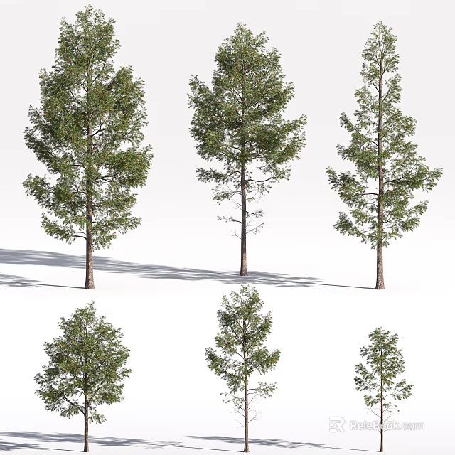 Various Arbor Trees With Green Foliage And Sturdy Trunks In Different Sizes 3d model 