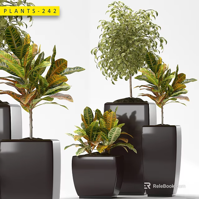 Decorative Plant Arrangement With Black Planters And Various Leafy Plants For Indoor Decor 3d model 