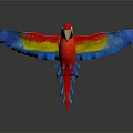 Vibrant Red Blue Yellow Macaw Spreading Wings on Dark Background with Reflection 3d model