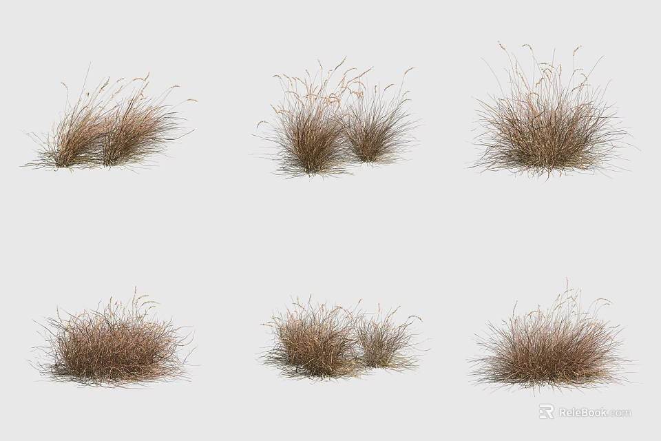 Various Natural Grass Clumps For Decorative Garden And Landscape Design 3d model 