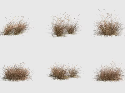 Various Natural Grass Clumps For Decorative Garden And Landscape Design 3d model