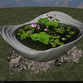 White Bowl Shaped Aquarium Supported By Rocks With Lotus Leaves And Purple Flowers On Grass